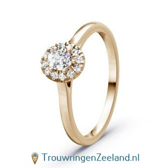 Verlovingsring 14 karaat champagne goud met 13 diamanten in een ronde zetting