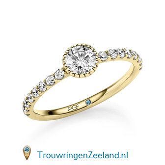 Verlovingsring in 14/18 karaat witgoud met 1 x 0,50 ct briljant  topsteen met 16 x 0,02 ct zijstenen geslepen diamant kwaliteit TW/SI in een ronde parel zetting