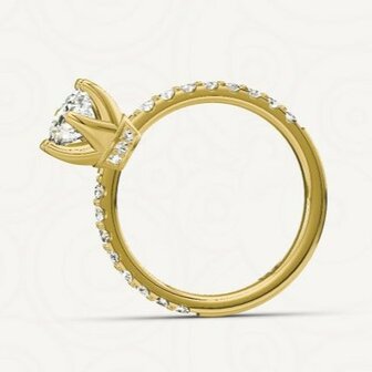 Verlovingsring in 14 of 18 karaat witgoud met 1 x 1,00 ct diamant&nbsp;topsteen met 16 x 0,02 ct diamanten zijstenen en 3 diamanten aan weerszijden onderaan de kroon