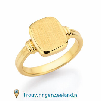 Zegelring dames in 14 karaat geelgoud 10 x 8 mm. glans gepolijst antiek Romeinse plaat gematteerd 