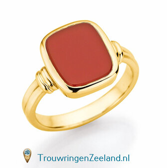 Zegelring dames in 14 karaat geelgoud 10 x 8 mm. glans gepolijst met antiek Romeinse zetting van een rode jaspis edelsteen
