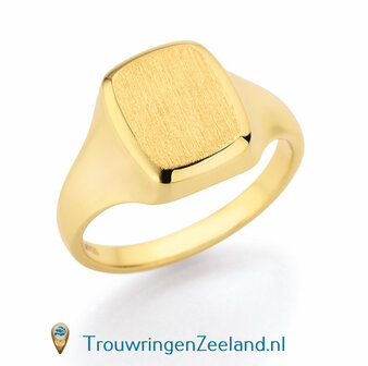 Zegelring dames in 14 karaat geelgoud 10 x 8 mm. glans gepolijst antieke plaat gematteerd 