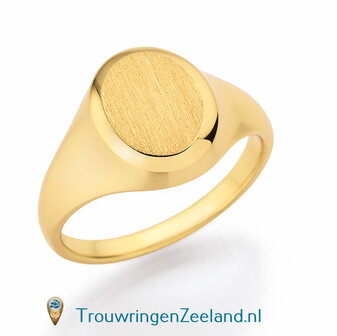 Zegelring dames in 14 karaat geelgoud 10 x 8 mm. glans gepolijst ovalen plaat gematteerd 