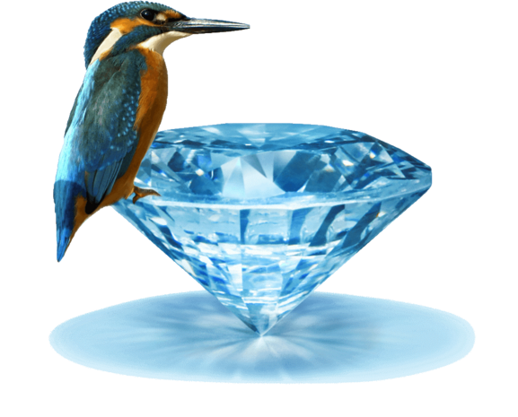 Verlovingsring in 14/18 karaat witgoud met 1 x 0,50 ct briljant  topsteen met 16 x 0,02 ct zijstenen geslepen diamant kwaliteit TW/SI in een 4 puntzetting