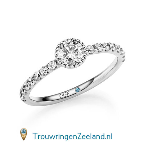 Verlovingsring in 14/18 karaat geelgoud met 1 x 0,50 ct briljant  topsteen met 16 x 0,02 ct zijstenen geslepen diamant kwaliteit TW/SI in een ronde parel zetting