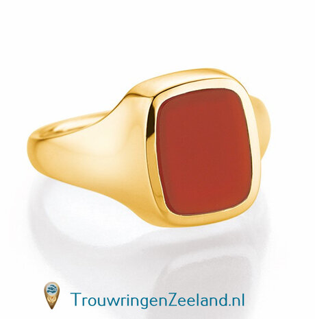 Zegelring dames in 14 karaat geelgoud 10 x 8 mm. glans gepolijst met  antieke zetting van een onyx edelsteen