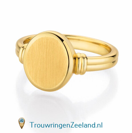 Zegelring dames in 14 karaat geelgoud 10 x 8 mm. glans gepolijst ovalen Romeinse plaat gematteerd 