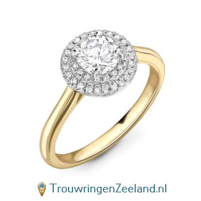 Fianzee verlovingsring topsteen briljant geslepen 0,30 ct of 1,00 ct diamant en 18 diamanten rondom in18 karaat goud of platina 950